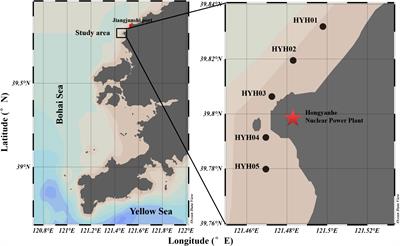 Aggregation process of two disaster-causing jellyfish species, Nemopilema nomurai and Aurelia coerulea, at the intake area of a nuclear power cooling-water system in Eastern Liaodong Bay, China